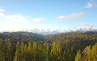 Bukovina - Panorama - 13-05-2026 04:19