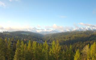 Bukovina - Panorama - 13-05-2026 04:26