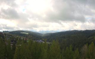 Bukovina - Panorama - 13-05-2026 04:55