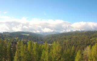 Bukovina - Panorama - 13-05-2026 05:23