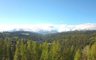 Bukovina - Panorama - 13-05-2026 05:37