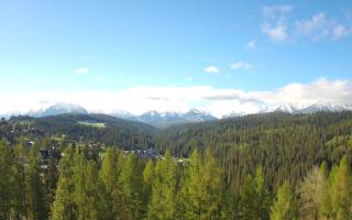 Bukovina - Panorama - 13-05-2026 05:44