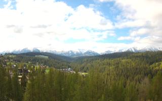 Bukovina - Panorama - 13-05-2026 06:12