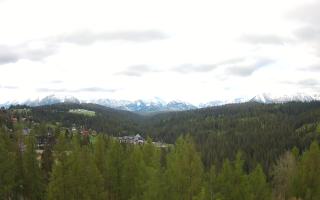 Bukovina - Panorama - 13-05-2026 06:19