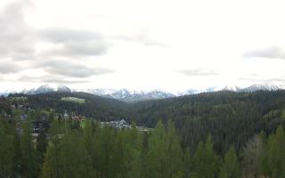 Bukovina - Panorama - 13-05-2026 06:26