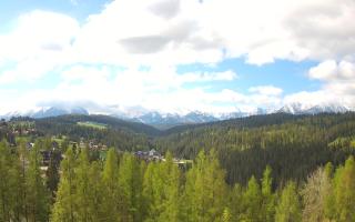 Bukovina - Panorama - 13-05-2026 06:54