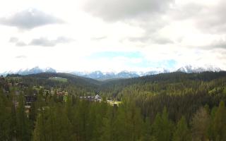 Bukovina - Panorama - 13-05-2026 07:01