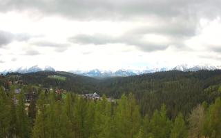 Bukovina - Panorama - 13-05-2026 07:08