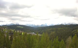 Bukovina - Panorama - 13-05-2026 07:22