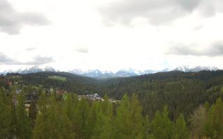 Bukovina - Panorama - 13-05-2026 07:29