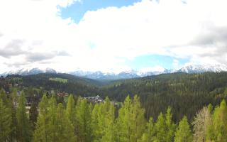 Bukovina - Panorama - 13-05-2026 07:43