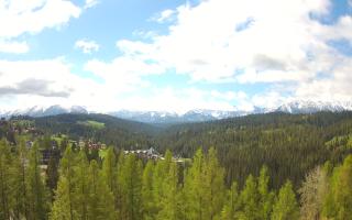 Bukovina - Panorama - 13-05-2026 07:58