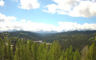 Bukovina - Panorama - 13-05-2026 09:08