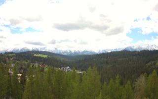 Bukovina - Panorama - 13-05-2026 09:36