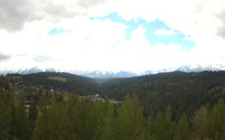 Bukovina - Panorama - 13-05-2026 09:50