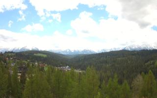 Bukovina - Panorama - 13-05-2026 09:57