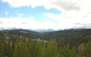 Bukovina - Panorama - 13-05-2026 10:04