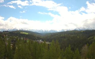 Bukovina - Panorama - 13-05-2026 10:25