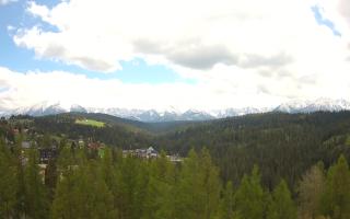 Bukovina - Panorama - 13-05-2026 11:01