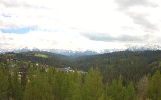 Bukovina - Panorama - 13-05-2026 11:15