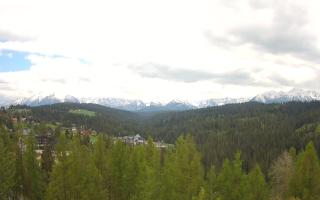 Bukovina - Panorama - 13-05-2026 11:22