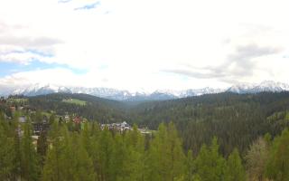 Bukovina - Panorama - 13-05-2026 11:36