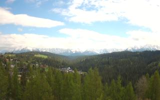 Bukovina - Panorama - 13-05-2026 12:18