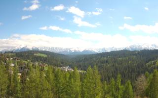 Bukovina - Panorama - 13-05-2026 12:39