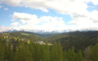 Bukovina - Panorama - 13-05-2026 13:00