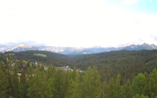 Bukovina - Panorama - 12-06-2026 17:26