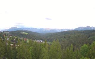 Bukovina - Panorama - 12-06-2026 17:54