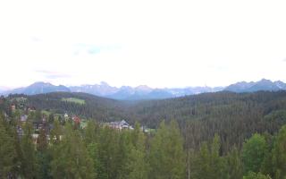 Bukovina - Panorama - 12-06-2026 18:08