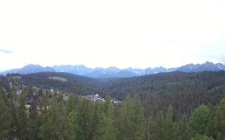 Bukovina - Panorama - 12-06-2026 18:43