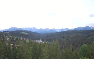 Bukovina - Panorama - 12-06-2026 18:50