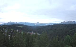 Bukovina - Panorama - 13-06-2026 02:14