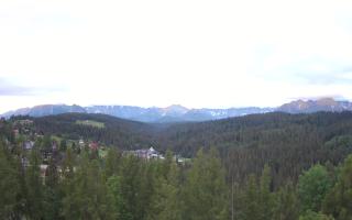 Bukovina - Panorama - 13-06-2026 02:28