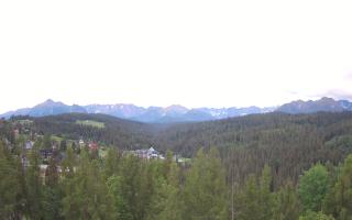 Bukovina - Panorama - 13-06-2026 02:42