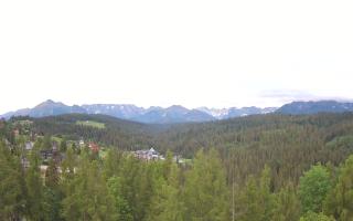 Bukovina - Panorama - 13-06-2026 02:56