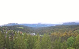 Bukovina - Panorama - 13-06-2026 03:17