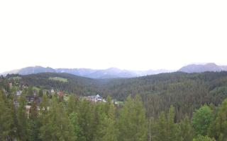 Bukovina - Panorama - 13-06-2026 03:31