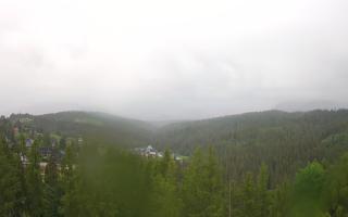 Bukovina - Panorama - 13-06-2026 04:21