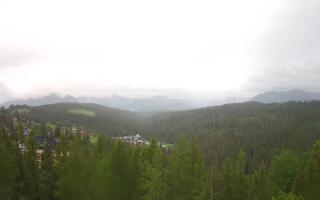 Bukovina - Panorama - 13-06-2026 04:56