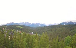 Bukovina - Panorama - 13-06-2026 06:34