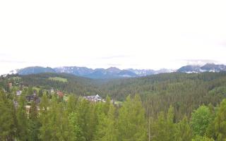 Bukovina - Panorama - 13-06-2026 06:41