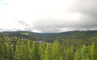Bukovina - Panorama - 13-06-2026 07:09
