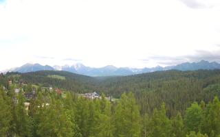 Bukovina - Panorama - 15-06-2026 14:26