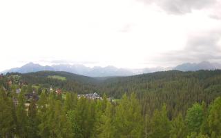 Bukovina - Panorama - 15-06-2026 14:40