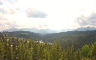 Bukovina - Panorama - 30-07-2026 10:38