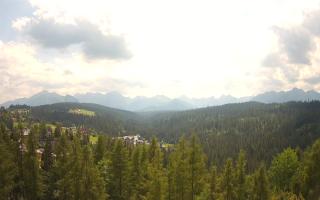 Bukovina - Panorama - 30-07-2026 10:45