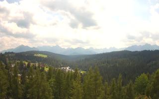 Bukovina - Panorama - 30-07-2026 10:59